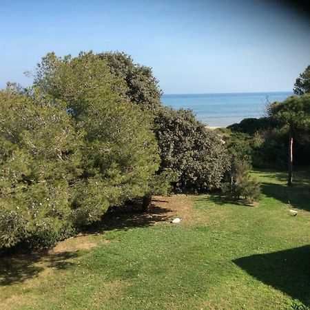 Entre Mer Et Piscine Hyères Екстериор снимка