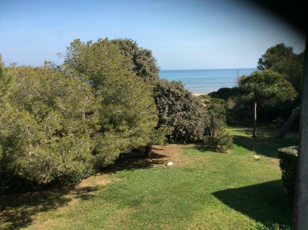 Entre Mer Et Piscine Hyères Екстериор снимка