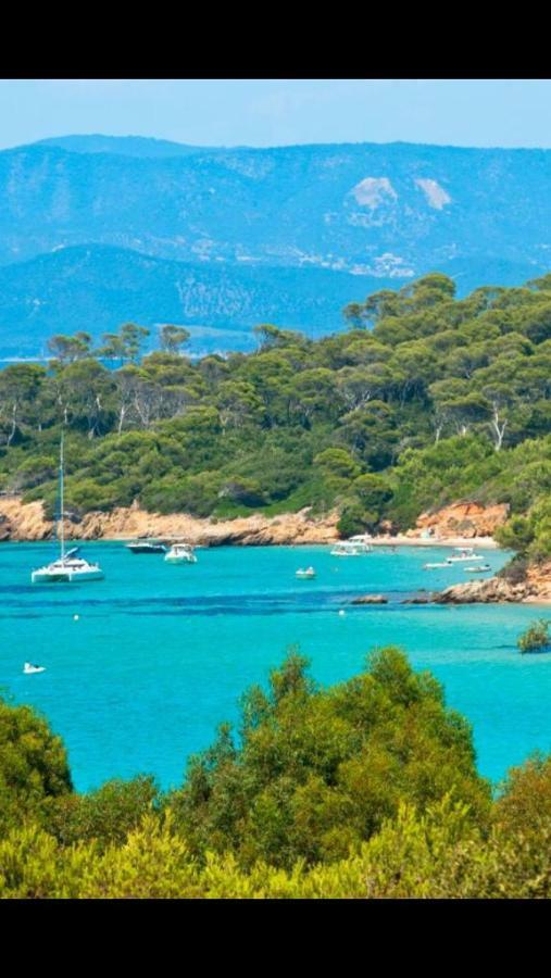 Entre Mer Et Piscine Hyères Екстериор снимка